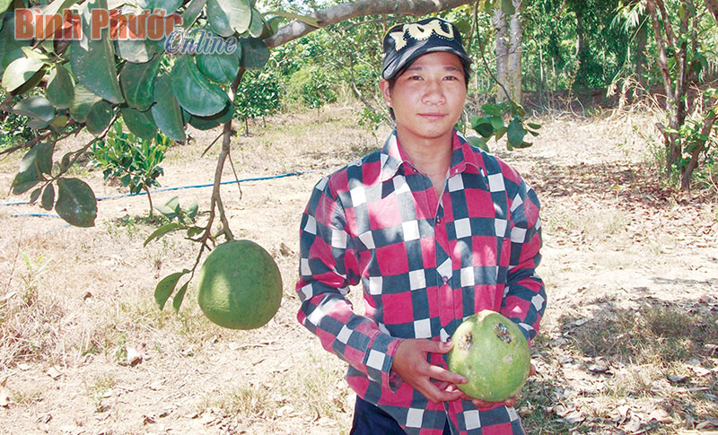 Anh Nông Văn Xuân làm kinh tế giỏi