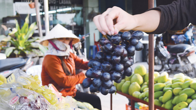 Trung Quốc tuồn nho, chanh, táo... nhiễm độc vào Việt Nam