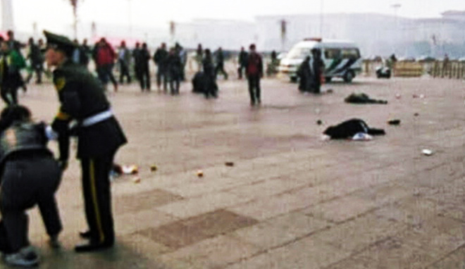 713581.jpg