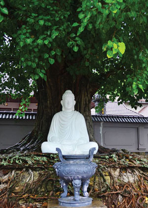 Phật Đà ngôi chùa đẹp nơi Hà Tiên thập cảnh Phật Đà ngôi chùa đẹp nơi Hà Tiên thập cảnh