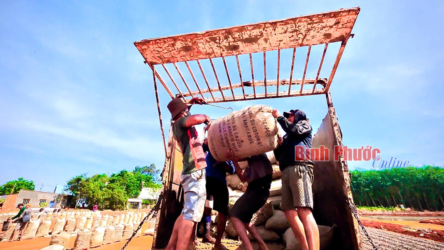 736655e722c7b10072c50d543996acc0_11461416042025.jpg