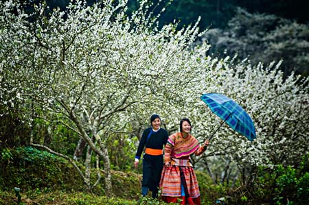 Sắc màu cao nguyên trắng Sắc màu cao nguyên trắng