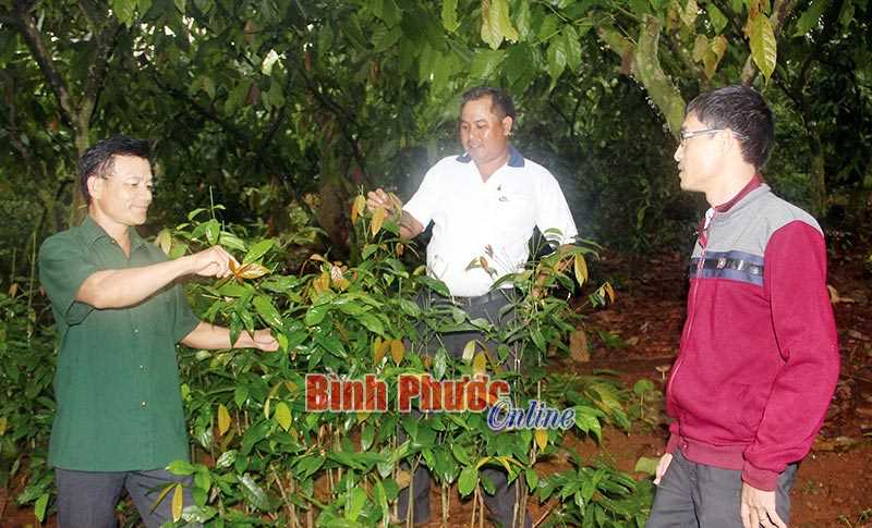 Giàu nhờ làm vườn - ao - chuồng