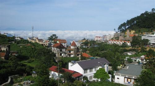 Tam Đảo trong biển mây Tam Đảo trong biển mây