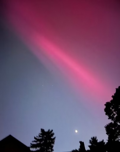 7_16584711052024.jpg