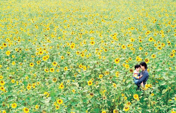 7a20092014102122.png