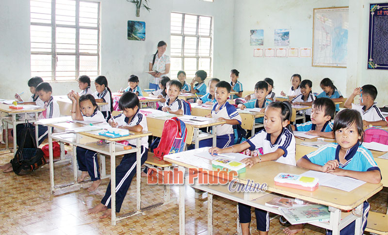 Trường tiểu học Lý Tự Trọng 10 năm liền không có học sinh bỏ học Trường tiểu học Lý Tự Trọng 10 năm liền không có học sinh bỏ học