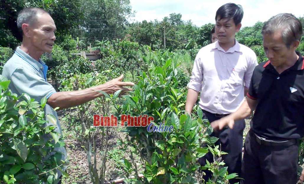 Đồng Phú đảm bảo an sinh xã hội Đồng Phú đảm bảo an sinh xã hội