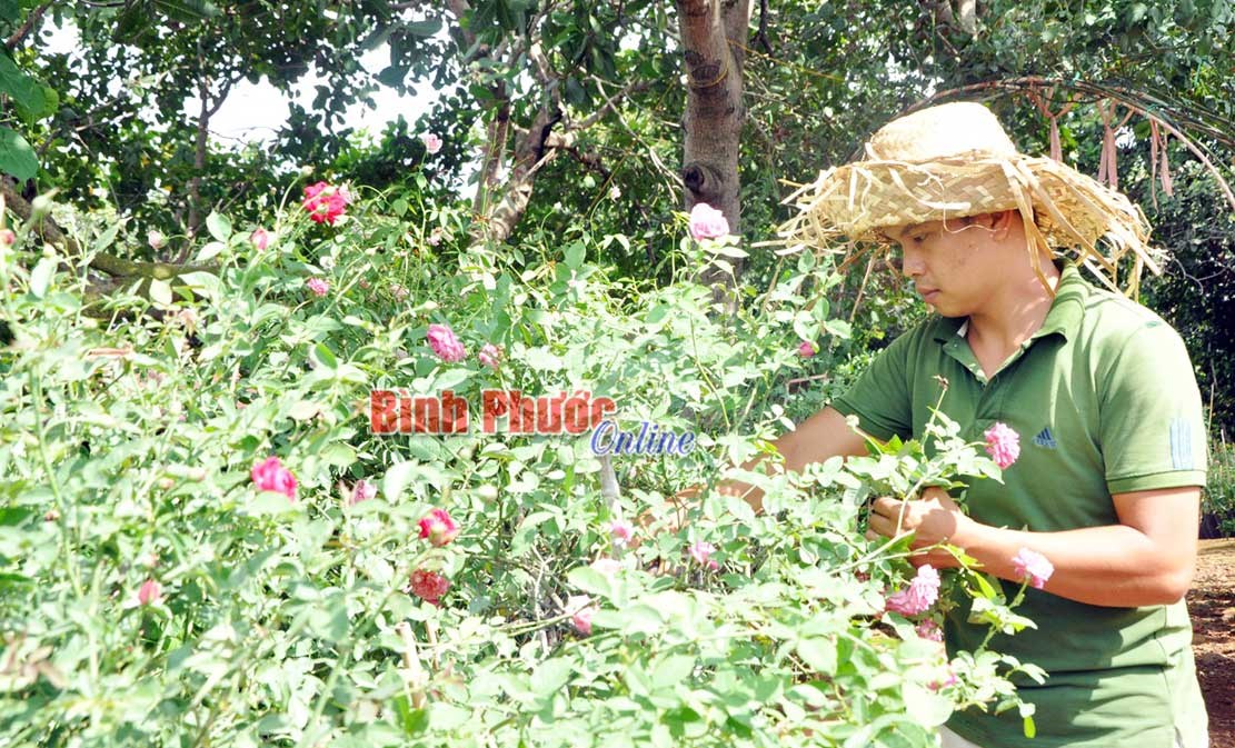 Chuyện khởi nghiệp của chàng trai 9x Chuyện khởi nghiệp của chàng trai 9x