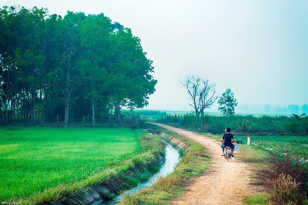 Đẹp nao lòng trước khoảnh khắc yên bình của làng quê Việt
