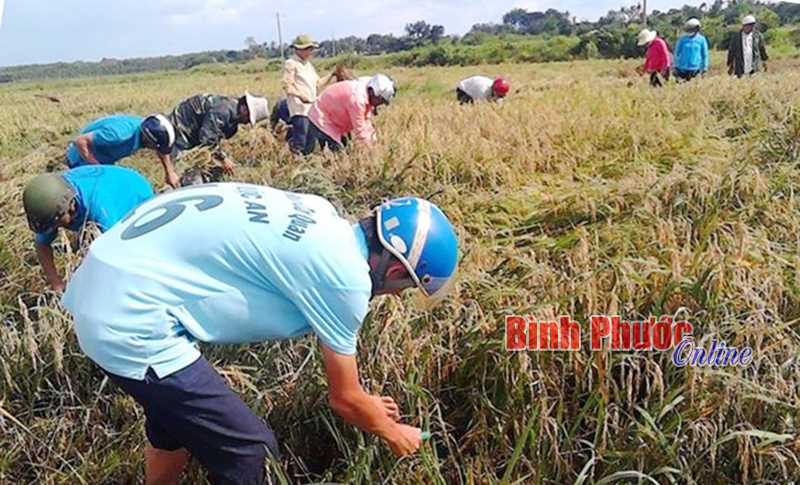 Chung sức vì cộng đồng Chung sức vì cộng đồng
