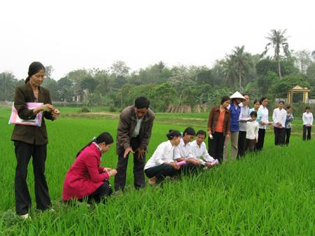 Sẽ thí điểm cấp thẻ học nghề nông nghiệp Sẽ thí điểm cấp thẻ học nghề nông nghiệp