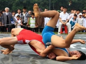 Giải vô địch vật cổ điển-tự do toàn quốc năm 2012