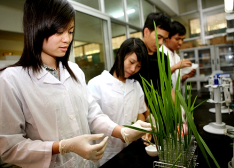 Giải thưởng “Tài năng khoa học trẻ Việt Nam”