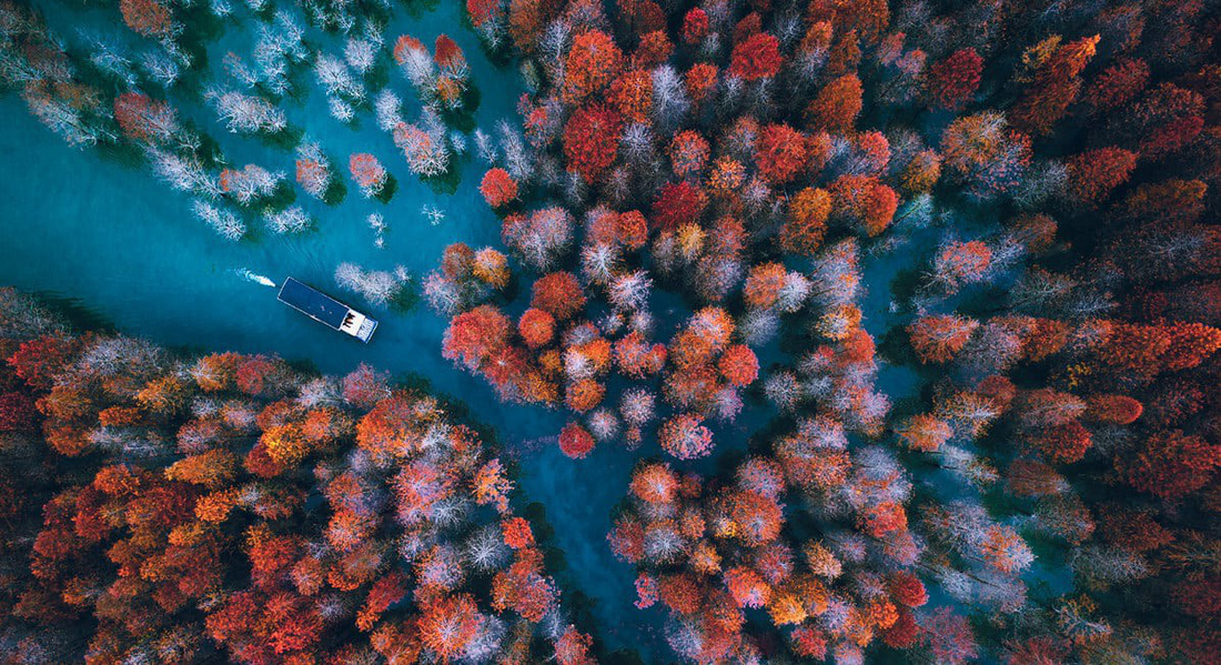 9-151797111295552527473218022018061314.jpg
