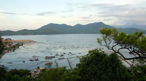 Về Vinh Hiền Về Vinh Hiền
