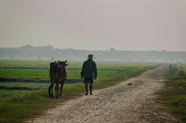 917022016033447.jpg