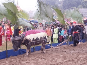 Đề nghị đưa lễ hội Lồng Tông vào danh mục di sản