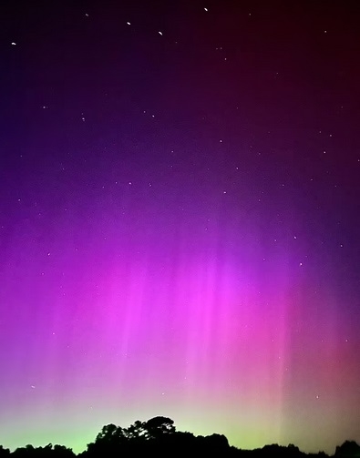 9_16562611052024.jpg