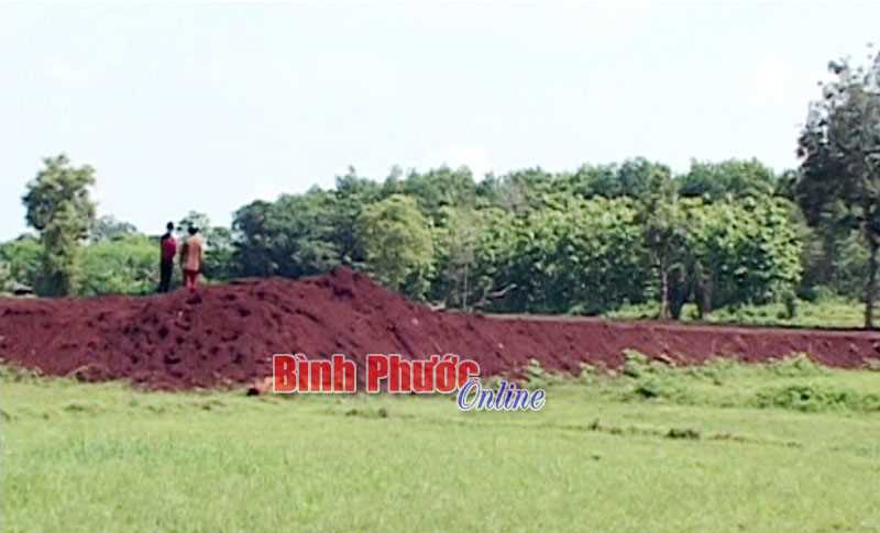 Đất nông nghiệp Bình Long đang giảm dần Đất nông nghiệp Bình Long đang giảm dần