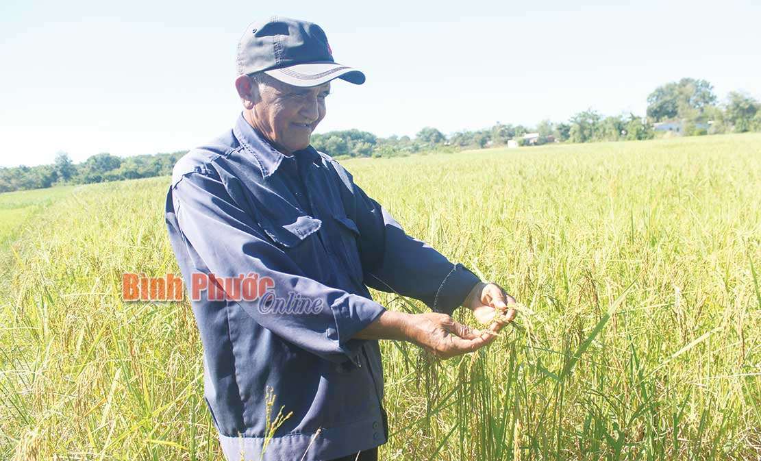 Khát vọng về một thương hiệu Khát vọng về một thương hiệu