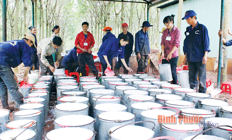Anh-bao-xuan18.jpg