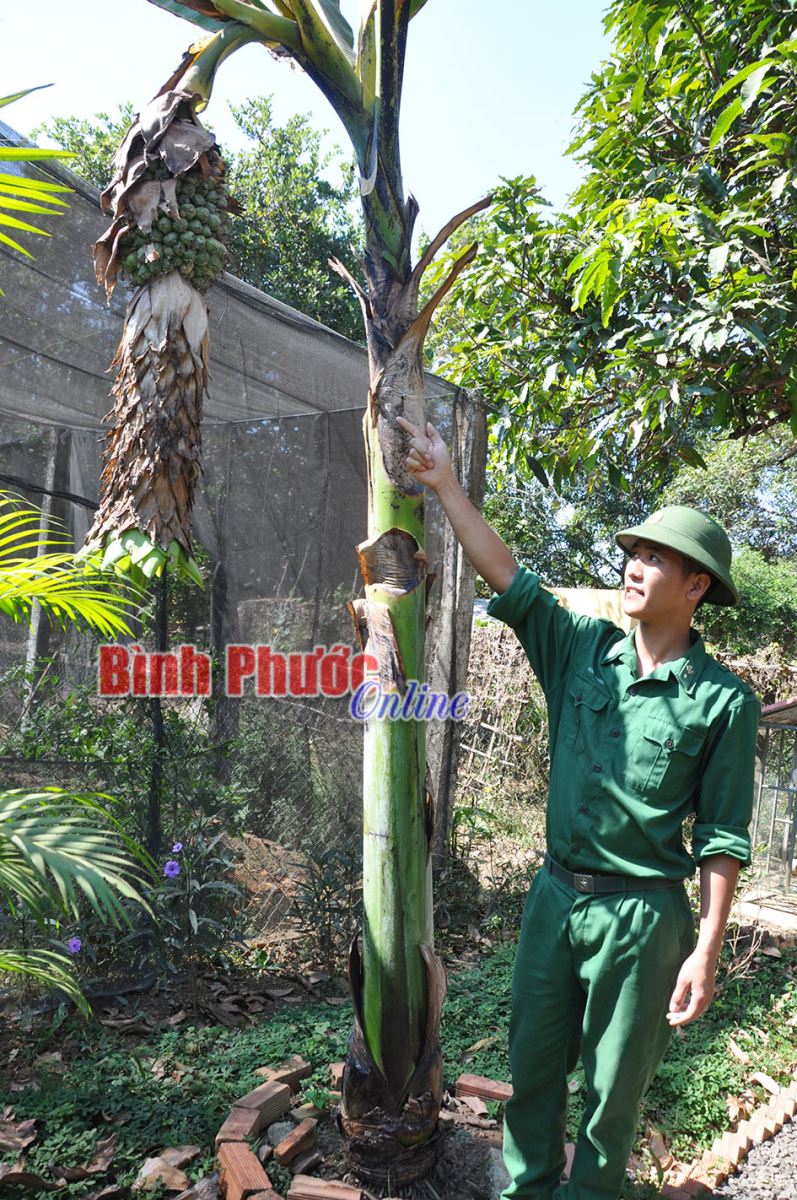 Anh-bao-xuan28.jpg