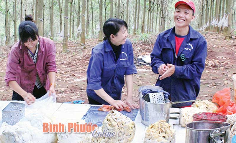 BX---CS-PHU-RIENG-(1).jpg