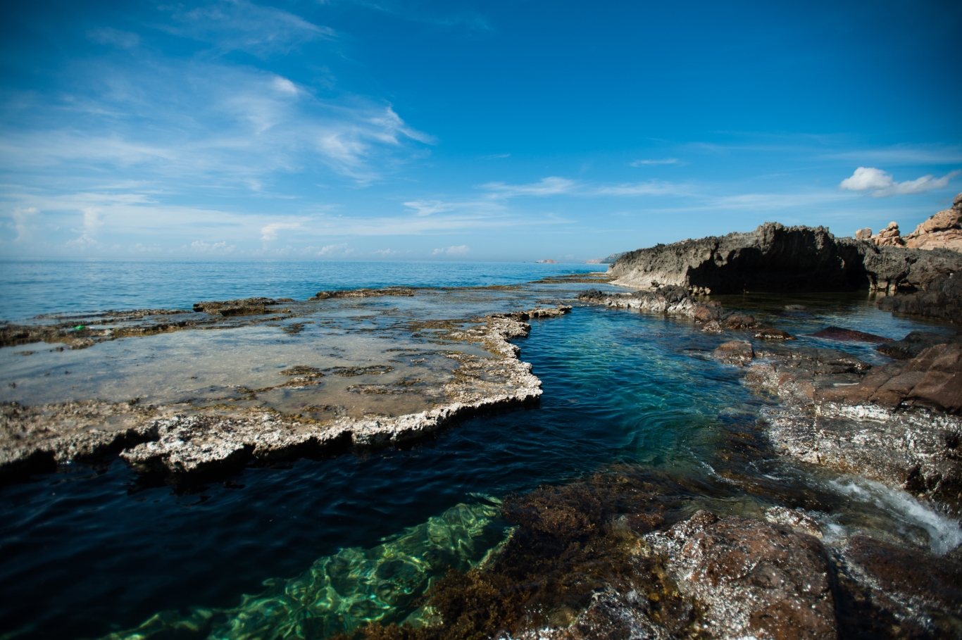 Hang-rai-ninh-thuan1.jpg