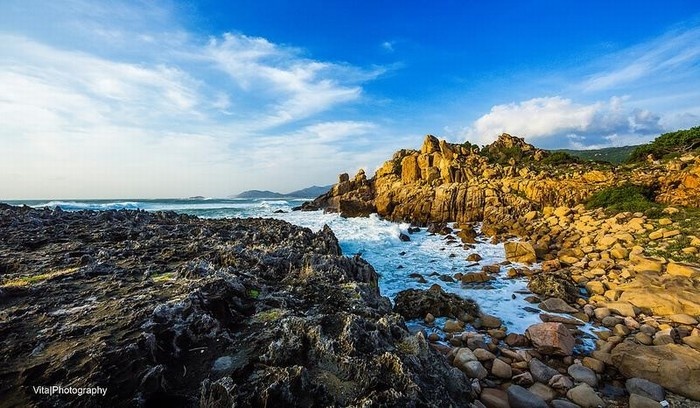 Hang-rai-ninh-thuan15.jpg