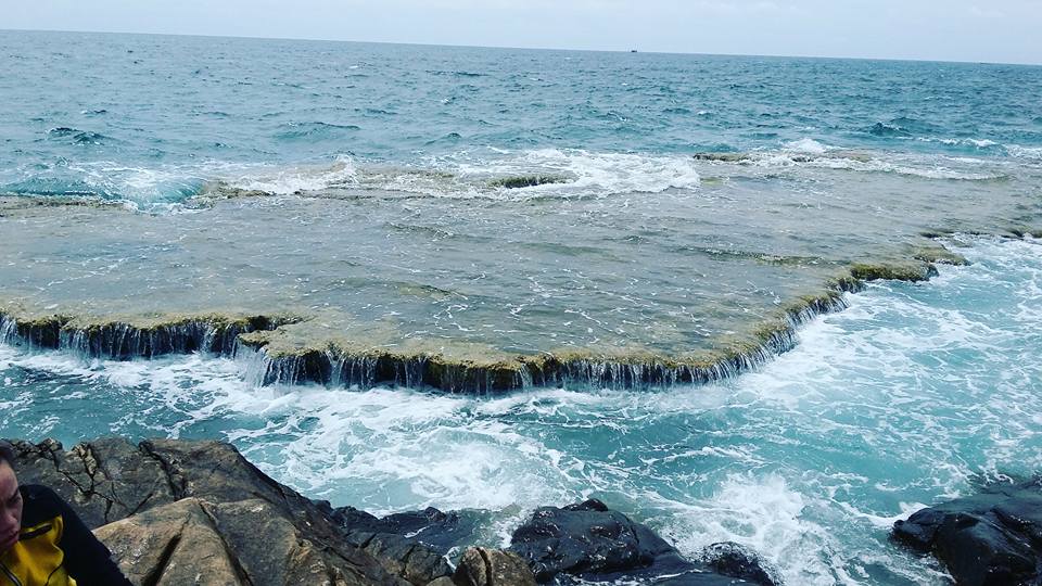 Hang-rai-ninh-thuan16.jpg