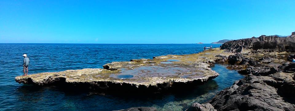 Hang-rai-ninh-thuan18.jpg