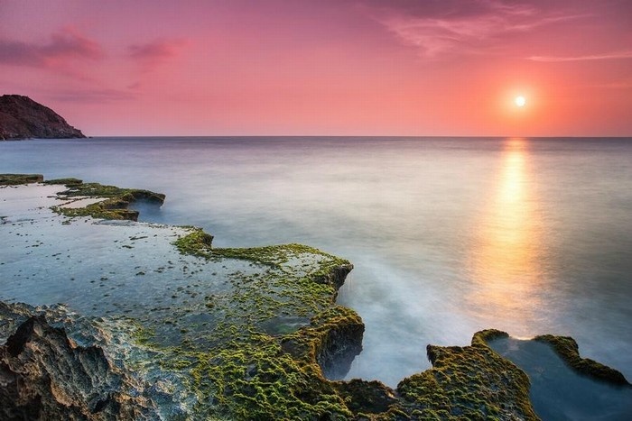 Hang-rai-ninh-thuan3.jpg