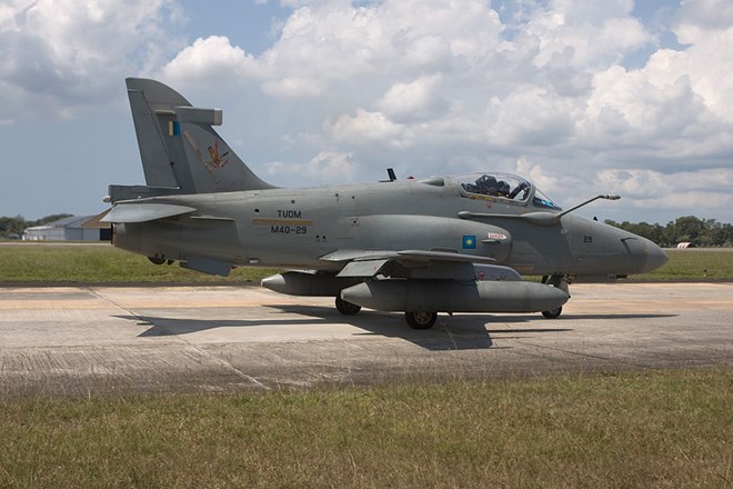 Hawk208_M4029.jpg
