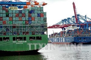 KTDucTaucontainerneotaicangHamburg_AFP_TTXVN.jpg