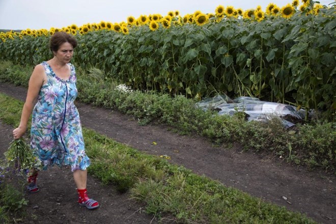 MH17_bodies_field.jpg