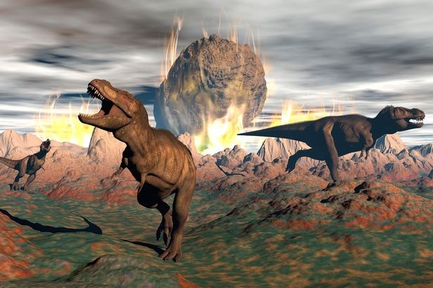 PAYTyrannosaurusRexdinosaurs.jpg