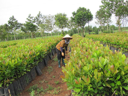 Phu-nu-Chon-Thanh.jpg