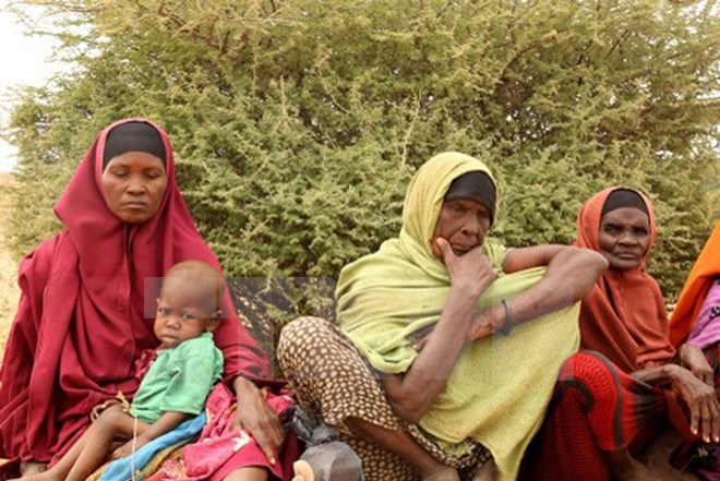 Somaliadoingheo.jpg