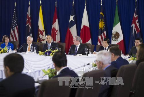 TPP(1).jpg
