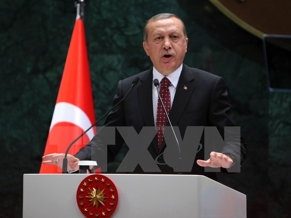 TTXVN_Tayyip_Erdogan.jpg
