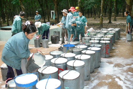 Năm 2012 ước thu ngân sách toàn tỉnh 3.380 tỷ đồng Năm 2012 ước thu ngân sách toàn tỉnh 3.380 tỷ đồng