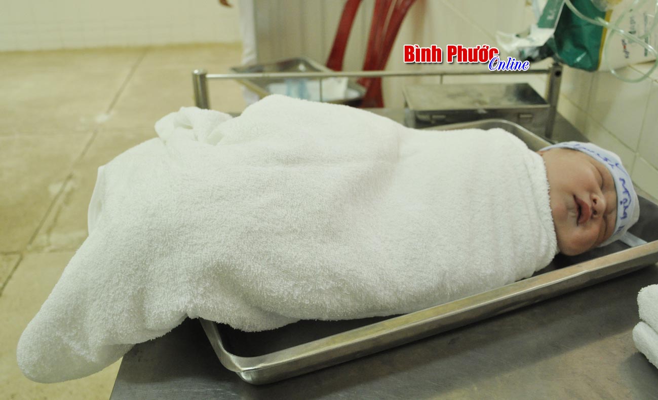 _DSC0228.jpg