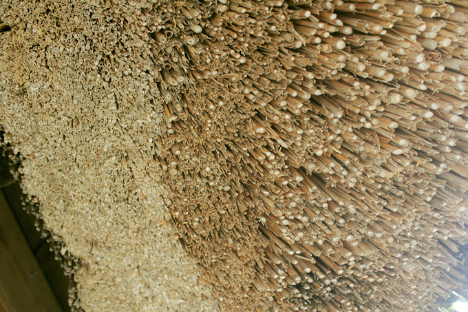 a15-1542515682680x026112018093722.jpg
