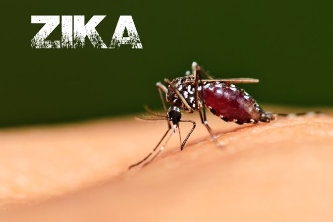 4 nước có nguy cơ bùng phát dịch Zika trong dịp Olympic 2016