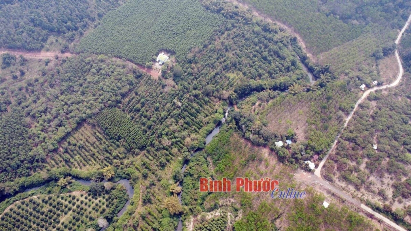 aa_18554206052025.jpg