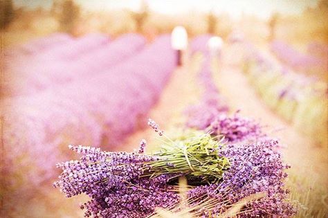 Đời vốn dĩ vô thường Đời vốn dĩ vô thường