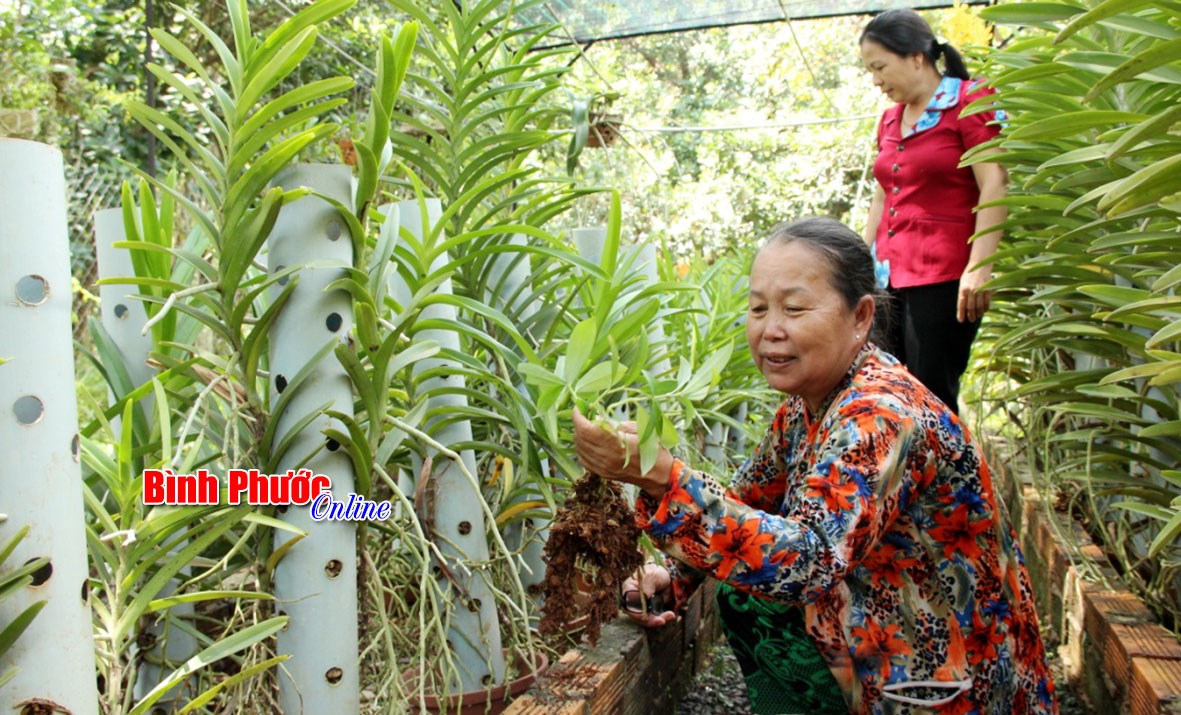 Hội phụ nữ tỉnh đa dạng các hình thức giúp đỡ hội viên khó khăn