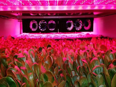 aerofarms1-7157-143089713719062016110111.jpg