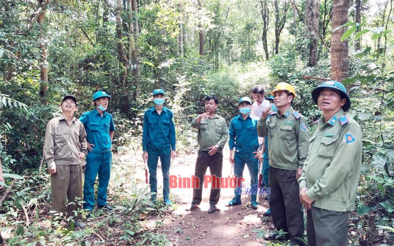 Ðảm bảo an toàn cho những cánh rừng Ðảm bảo an toàn cho những cánh rừng